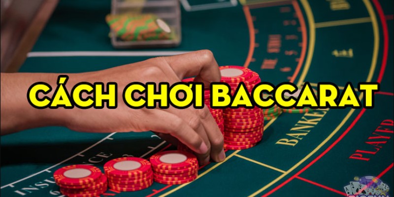 Chia sẻ chi tiết cách chơi Baccarat cơ bản cho người mới tham gia