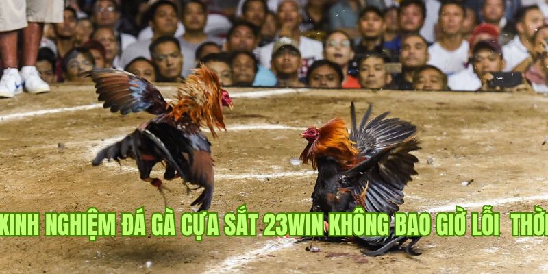 Các chiến thuật chơi đá gà cựa sắt 23win hiệu quả