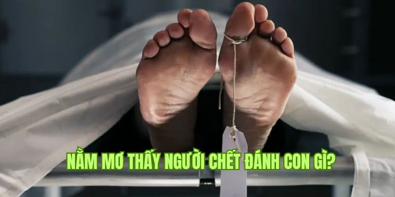 Tận dụng những con lô từ chiêm bao về người qua đời để làm giàu